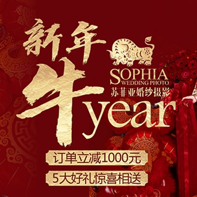 苏菲亚婚纱摄影迎新春惊喜大放送